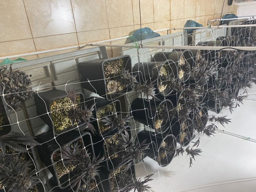 الشرطة تضبط مخدرات في حيفا وتعتقل مشتبه 
